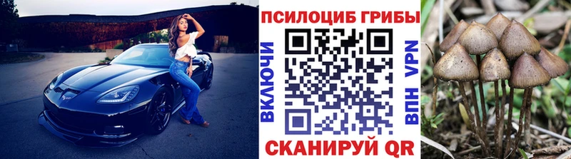 Псилоцибиновые грибы GOLDEN TEACHER  Фролово 